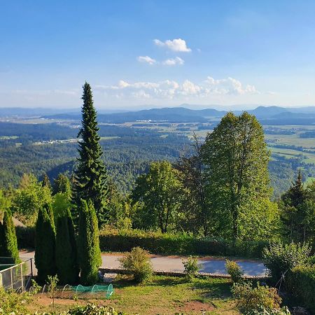 Veronica'S Place In The Mountains Βίλα Cerklje na Gorenjskem Εξωτερικό φωτογραφία