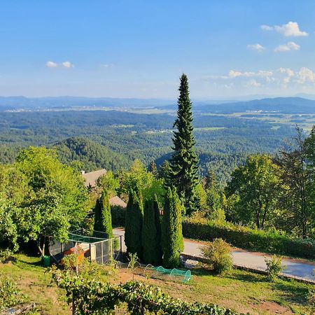 Veronica'S Place In The Mountains Βίλα Cerklje na Gorenjskem Εξωτερικό φωτογραφία