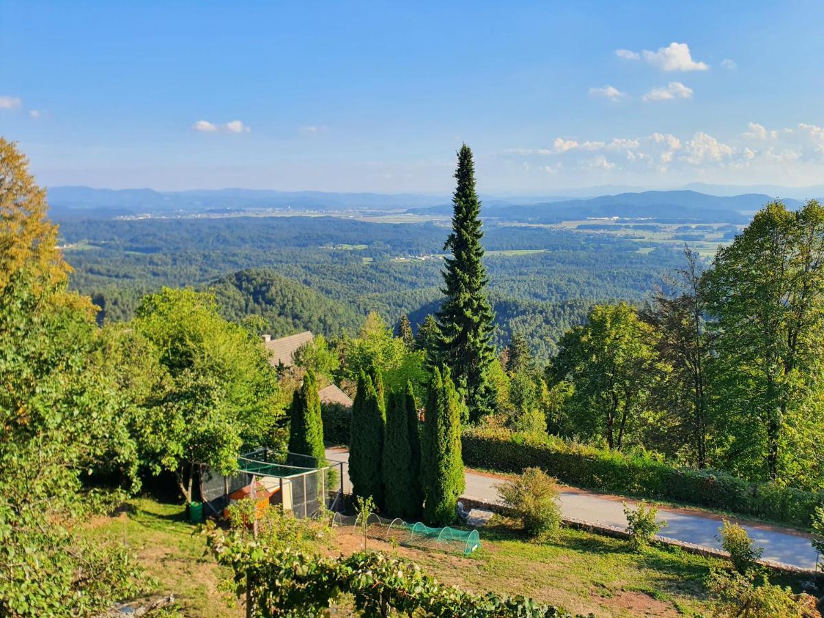 Veronica'S Place In The Mountains Βίλα Cerklje na Gorenjskem Εξωτερικό φωτογραφία